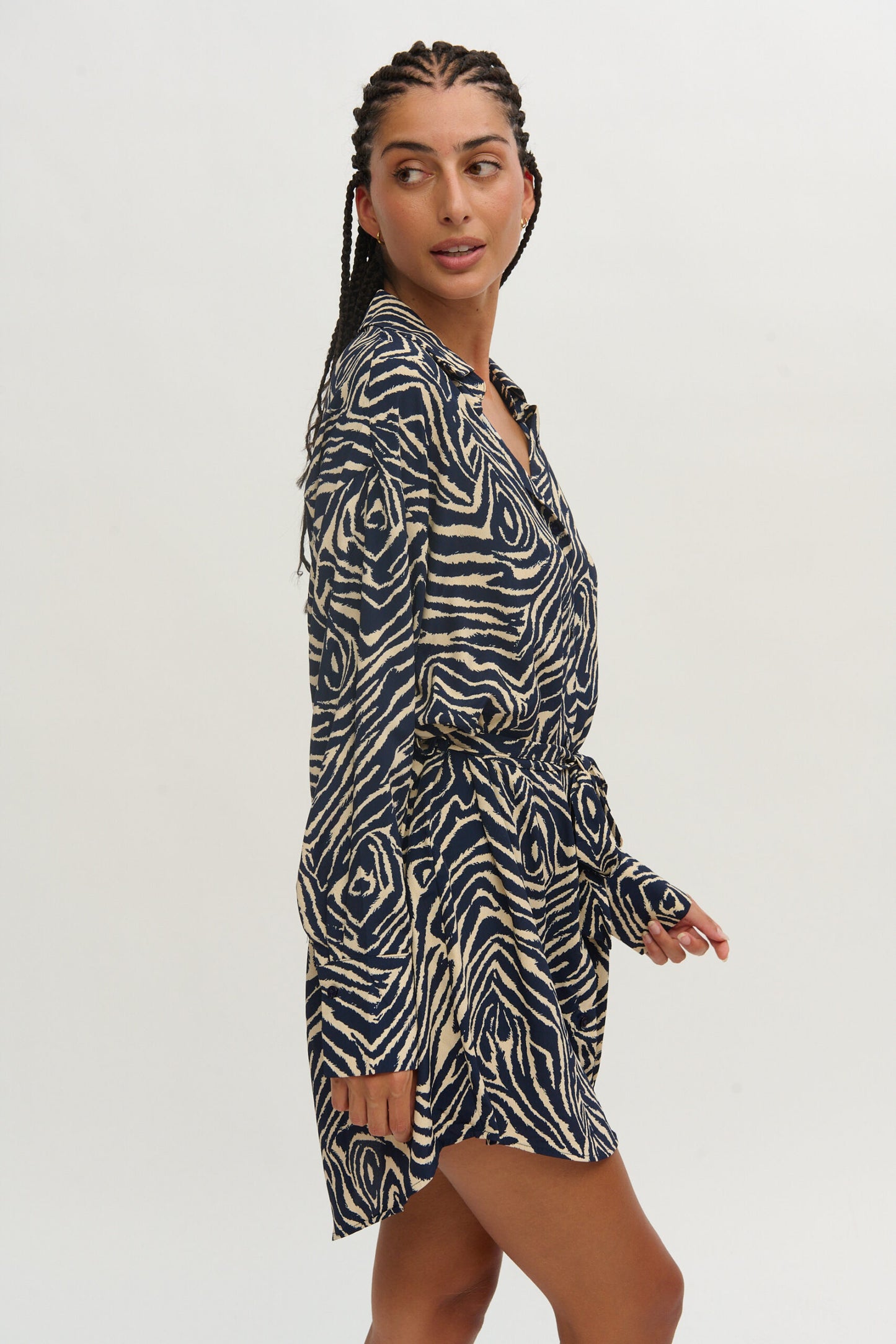 Blue zebra dress