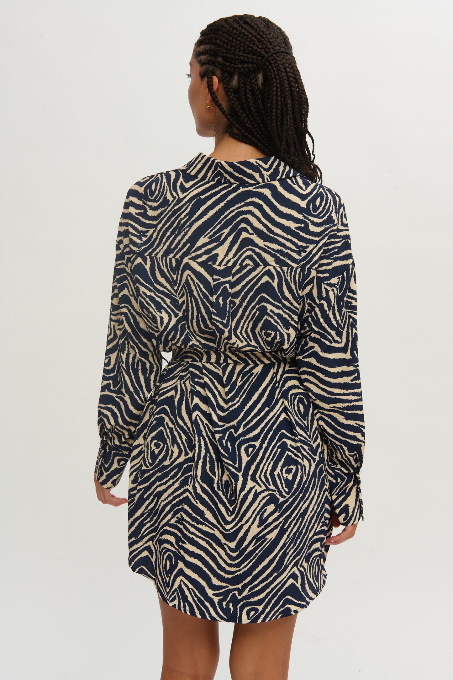 Blue zebra dress